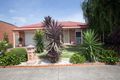 Property photo of 59 Calendula Circuit Epping VIC 3076