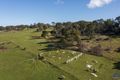 Property photo of 624 Weibye Track Ruffy VIC 3666