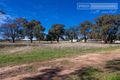 Property photo of 5 Churches Plain Road Uranquinty NSW 2652