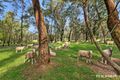 Property photo of 1199 Princes Highway Jeremadra NSW 2536