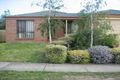 Property photo of 7 Marlesford Crescent Berwick VIC 3806