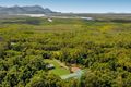 Property photo of 51533 Bruce Highway Rungoo QLD 4849