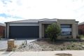 Property photo of 42 Larson Avenue Tarneit VIC 3029