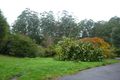 Property photo of 306 Mt Dandenong Tourist Road Sassafras VIC 3787
