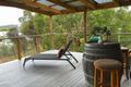 Property photo of 284 Apollo Bay Road Apollo Bay TAS 7150