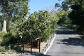 Property photo of 82 Guara Grove Pimpama QLD 4209