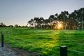 Property photo of 33 Kingston Terrace North Adelaide SA 5006