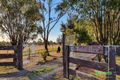 Property photo of 5090 Castlereagh Highway Gilgandra NSW 2827