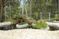 Property photo of 52 Condor Circuit Lambton NSW 2299