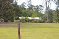 Property photo of 95 Avenue Road Myrtle Creek NSW 2469