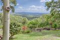 Property photo of 567 Black Mountain Road Black Mountain QLD 4563