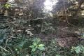 Property photo of 75 Ellwood Drive Bellmere QLD 4510