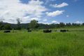 Property photo of 1023 Iron Pot Creek Road Ghinni Ghi NSW 2474