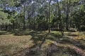 Property photo of 161 Chambers Road Ashbourne VIC 3442