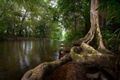 Property photo of 9-11 Crystal Close Redlynch QLD 4870