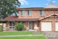 Property photo of 38 Vella Crescent Blacktown NSW 2148
