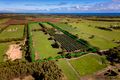 Property photo of 227 Steele Road Bonniefield WA 6525