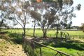 Property photo of 61 Barunga Gap Road Bute SA 5560