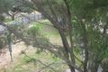 Property photo of 35 Fifth Street Weston NSW 2326