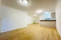 Property photo of 233 Pyrmont Street Pyrmont NSW 2009
