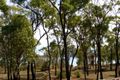 Property photo of 46 Trochus Street Dingo Beach QLD 4800
