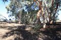 Property photo of 24 Corella Close Lower Chittering WA 6084