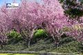 Property photo of 17 The Outlook Kirkham NSW 2570
