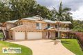Property photo of 15 Honeybee Place Upper Kedron QLD 4055