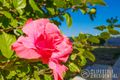 Property photo of 10 Orissa Place Two Rocks WA 6037