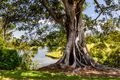 Property photo of 15 Baker Street Fernmount NSW 2454