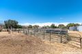 Property photo of 101 Burnside Road Strathalbyn SA 5255
