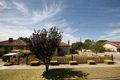 Property photo of 20 Arthur Street Plympton Park SA 5038