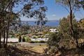 Property photo of 42 Fielding Drive West Hobart TAS 7000