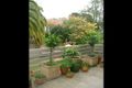 Property photo of 4 Robert Street Greenwich NSW 2065