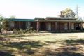 Property photo of 5 Blackbutt Road Lake Albert NSW 2650