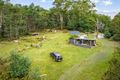 Property photo of 91 Burns Road Wyena TAS 7254