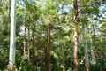 Property photo of 425 Upper Warrell Creek Road Congarinni NSW 2447
