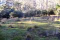 Property photo of 259 Mt Hull Road Collinsvale TAS 7012