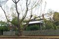 Property photo of 15 Godfrey Street East Toowoomba QLD 4350