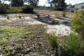 Property photo of 49 Paterson Street Denmark WA 6333