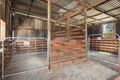 Property photo of 220 Crooked Lane North Richmond NSW 2754