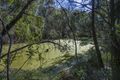 Property photo of 98 Tramway Drive Woolgoolga NSW 2456