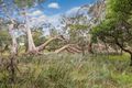Property photo of 70 Taits Road Clonbinane VIC 3658