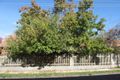 Property photo of 5 Madden Grove Kew VIC 3101