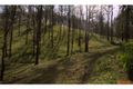 Property photo of 8 Bobin Creek Road Bobin NSW 2429