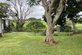Property photo of 253 Hinterland Way Knockrow NSW 2479