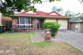 Property photo of 50 Wivenhoe Circuit Forest Lake QLD 4078