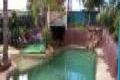 Property photo of 41 Laelana Avenue Budgewoi NSW 2262