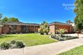 Property photo of 40 Bulla Road Bulla VIC 3428