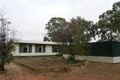 Property photo of 40 Wilkinson Road Loveday SA 5345